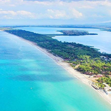 Chambres D Hotes A 20 Pas De La Plage Lucciana  Eksteriør bilde